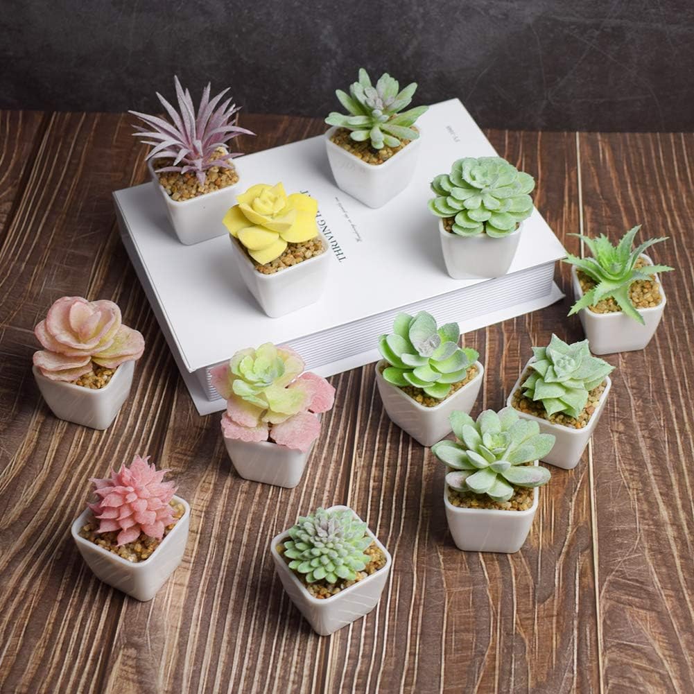 Tiita 24 Set Artificial Faux Succulents in Pots Fake Plants Plastic Arrangement Planter Small Mini Tiny Decoration for Home Office Desk Window Sill Bathroom Bedroom Outdoor Indoor