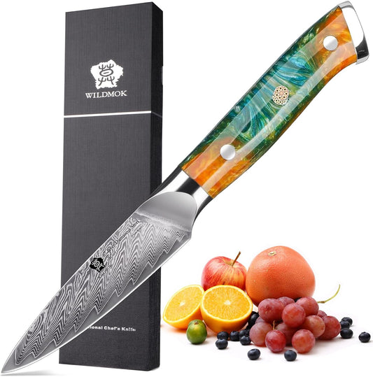 WILDMOK Damascus Paring Knife, 3.5 Inch Japanese 67 Layers Damascus Steel Fruit Knife, Ultra Sharp Resin Handle