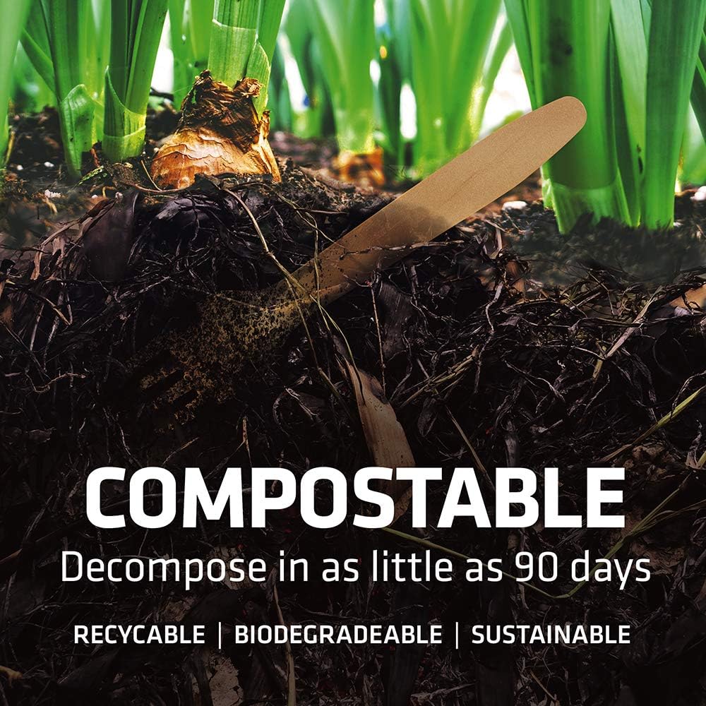 Disposable Wooden Cutlery Set - 100% Home Compostable - 2000 Forks, 6.5" Wooden Forks, Eco-Friendly, Organic, Sustainable and Carbon Neutral Certified