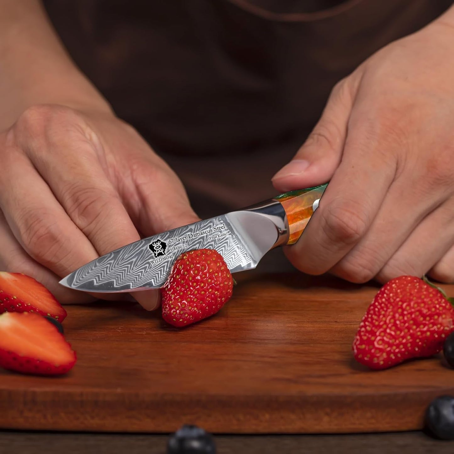 WILDMOK Damascus Paring Knife, 3.5 Inch Japanese 67 Layers Damascus Steel Fruit Knife, Ultra Sharp Resin Handle