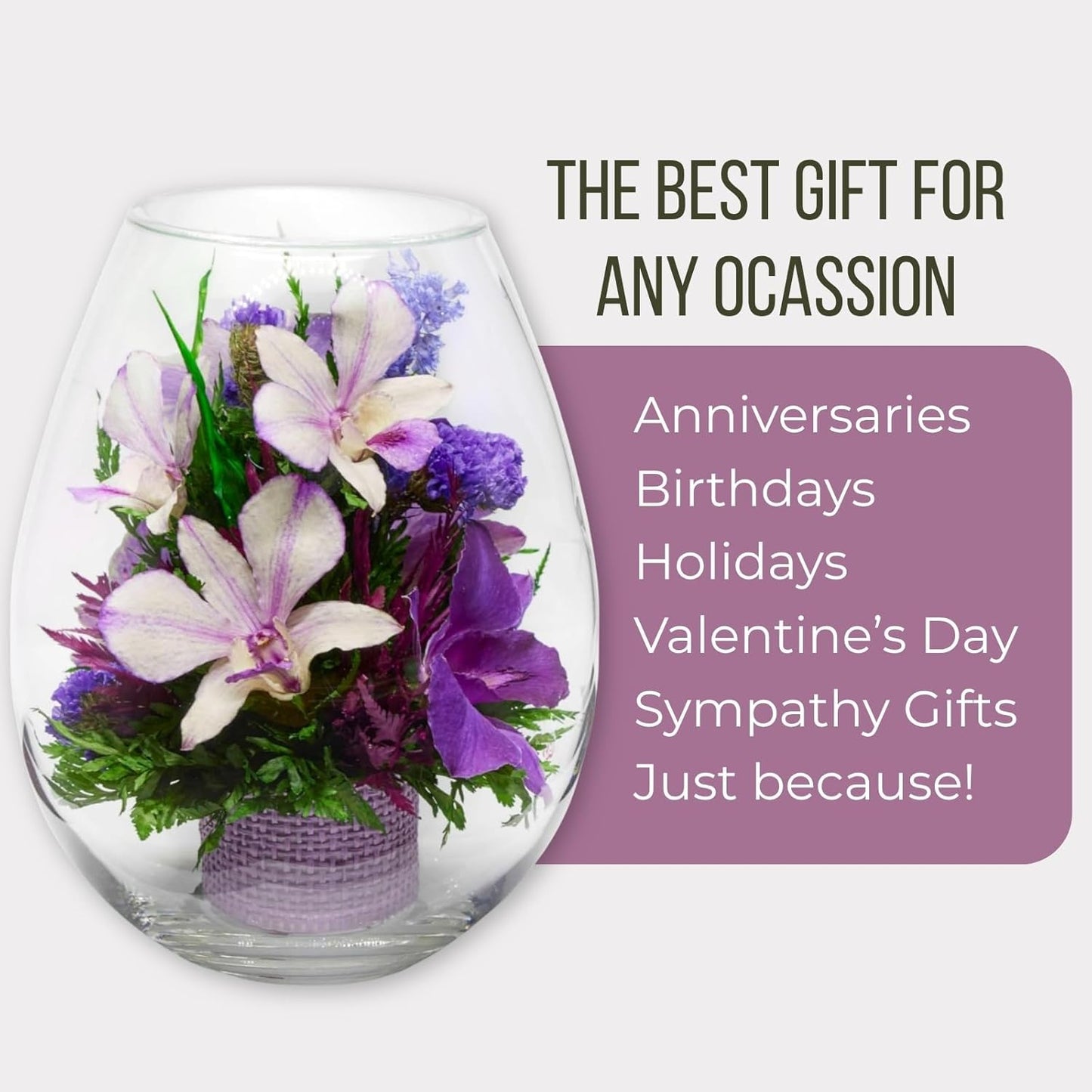 Fiora Flower Elegant Orchid Arrangement in Glass Vase | Preserved Real Orchids Lasting 5 Years | Ideal for Home Decor or Romantic Gift