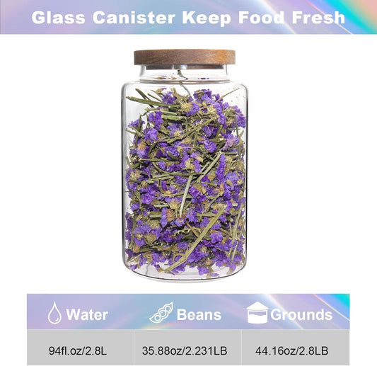 Glass Canister Glass 94oz 1Pack Food Storage Jars With Airtight Lids Borosilicate Glass Coffee Canister Container for Coffee Beans & Grounds Tea Sugar Spices Kitchen (94oz(2800ml)-A-1pack)