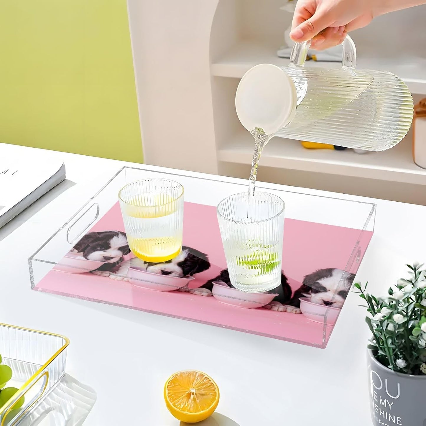 Plastic Food Serving Tray Decorative Vanity Trays for Bathroom Bernards Dog Coffee Table Kitchen Counter 11.8 * 15.7in