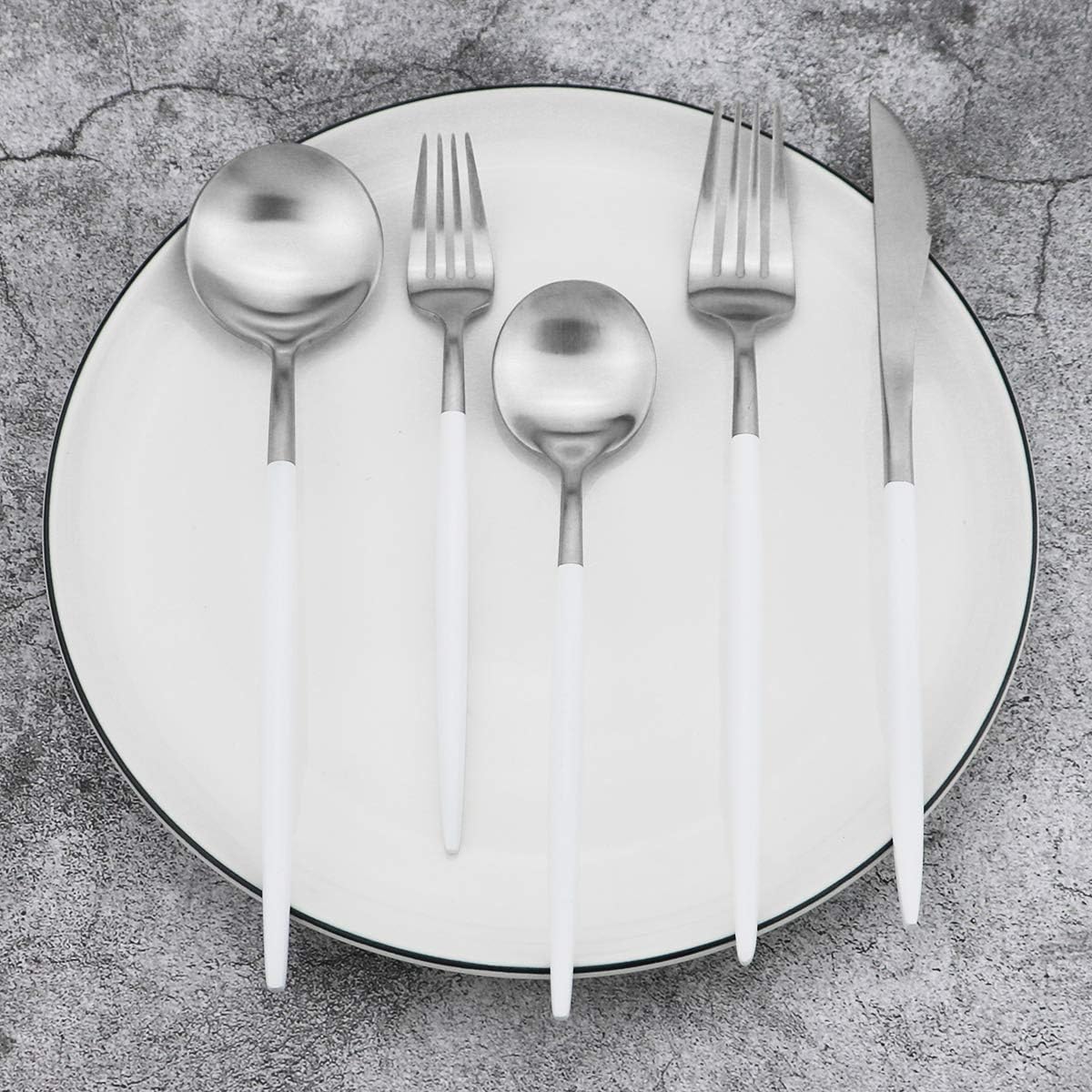 Gugrida 5-Piece Matte Silver Stainless Steel Satin Finish Flatware Set - Dishwasher Safe, Perfect for Camping, Office Lunch or Home Use