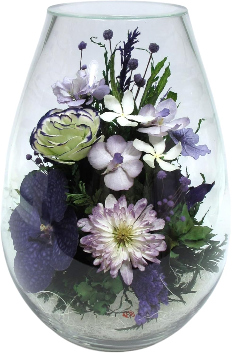 Fiora Flower Elegant Orchid Arrangement in Glass Vase | Preserved Real Orchids Lasting 5 Years | Ideal for Home Decor or Romantic Gift