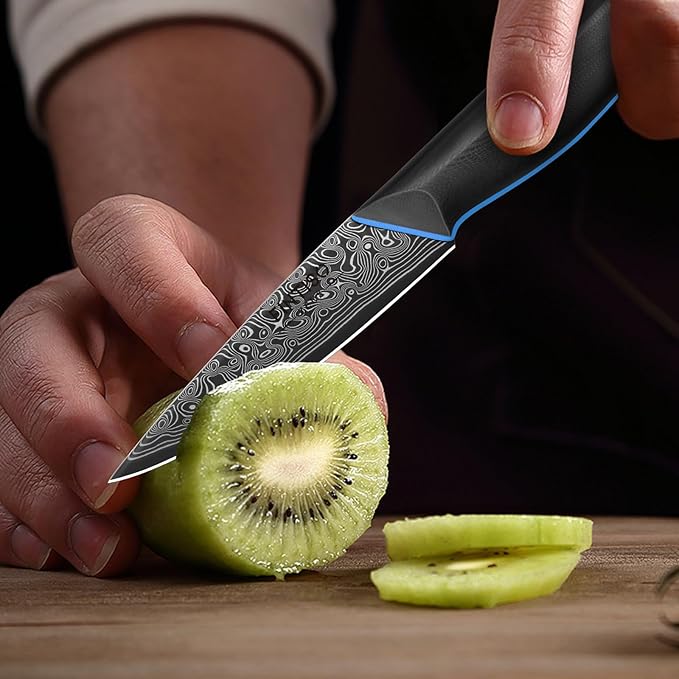 3.75 Inch Paring Knife, Fruit Knives with G10 Handle, 67-Layer Japanese Damascus Steel Forged Small Kitchen Knife, Ultra Sharp Knves with Exquisite Package