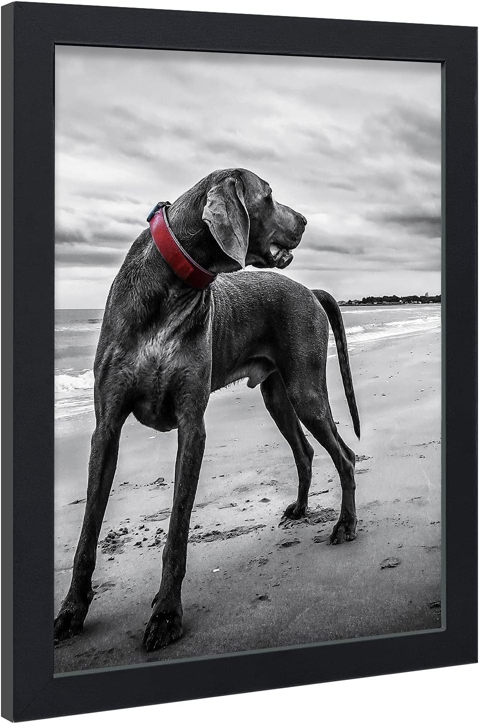 VCK 18x24 Poster Frame in Black with Polished Plexiglass Set of 5 Horizontal and Vertical Formats with Included Hanging Hardware