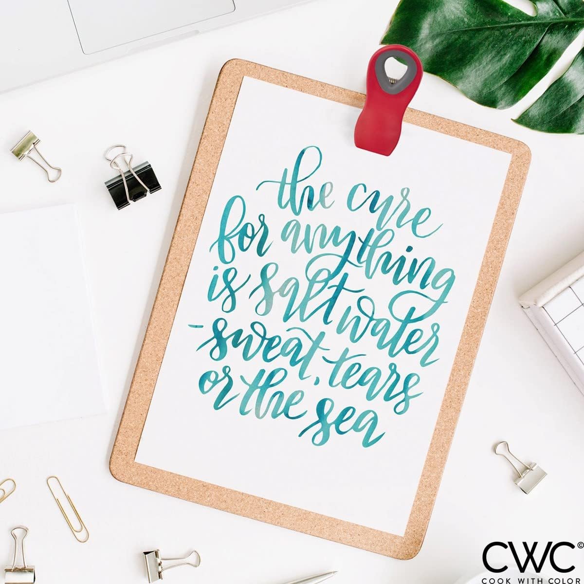 COOK WITH COLOR Bag Clips with Magnet- Food, Chip and Bag Clips for Food Storage with Airtight Seal Grip for Bread Bags, Snack Bags and Food Bags (Red, Pack of 10)