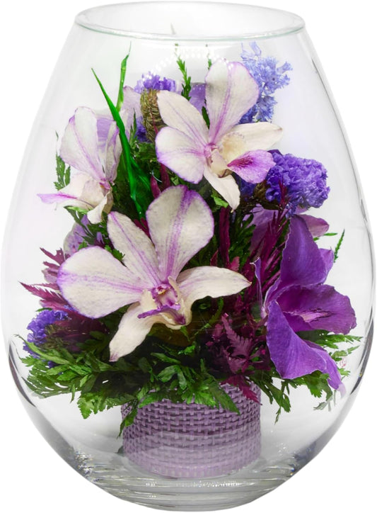 Fiora Flower Elegant Orchid Arrangement in Glass Vase | Preserved Real Orchids Lasting 5 Years | Ideal for Home Decor or Romantic Gift