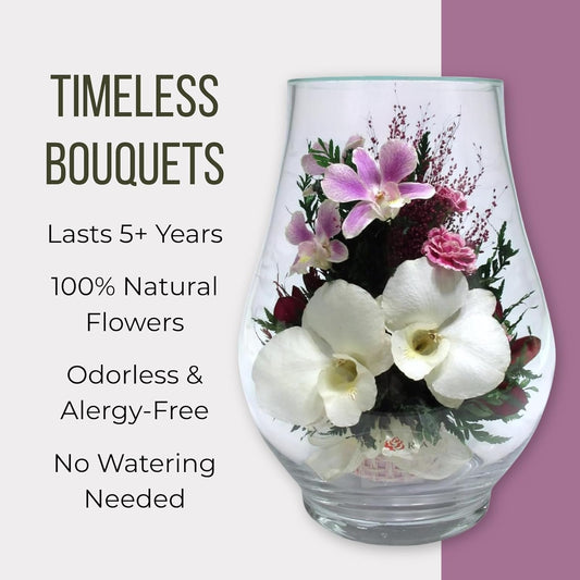 Fiora Flower Elegant Orchid Arrangement in Glass Vase | Preserved Real Orchids Lasting 5 Years | Ideal for Home Decor or Romantic Gift (Opal)
