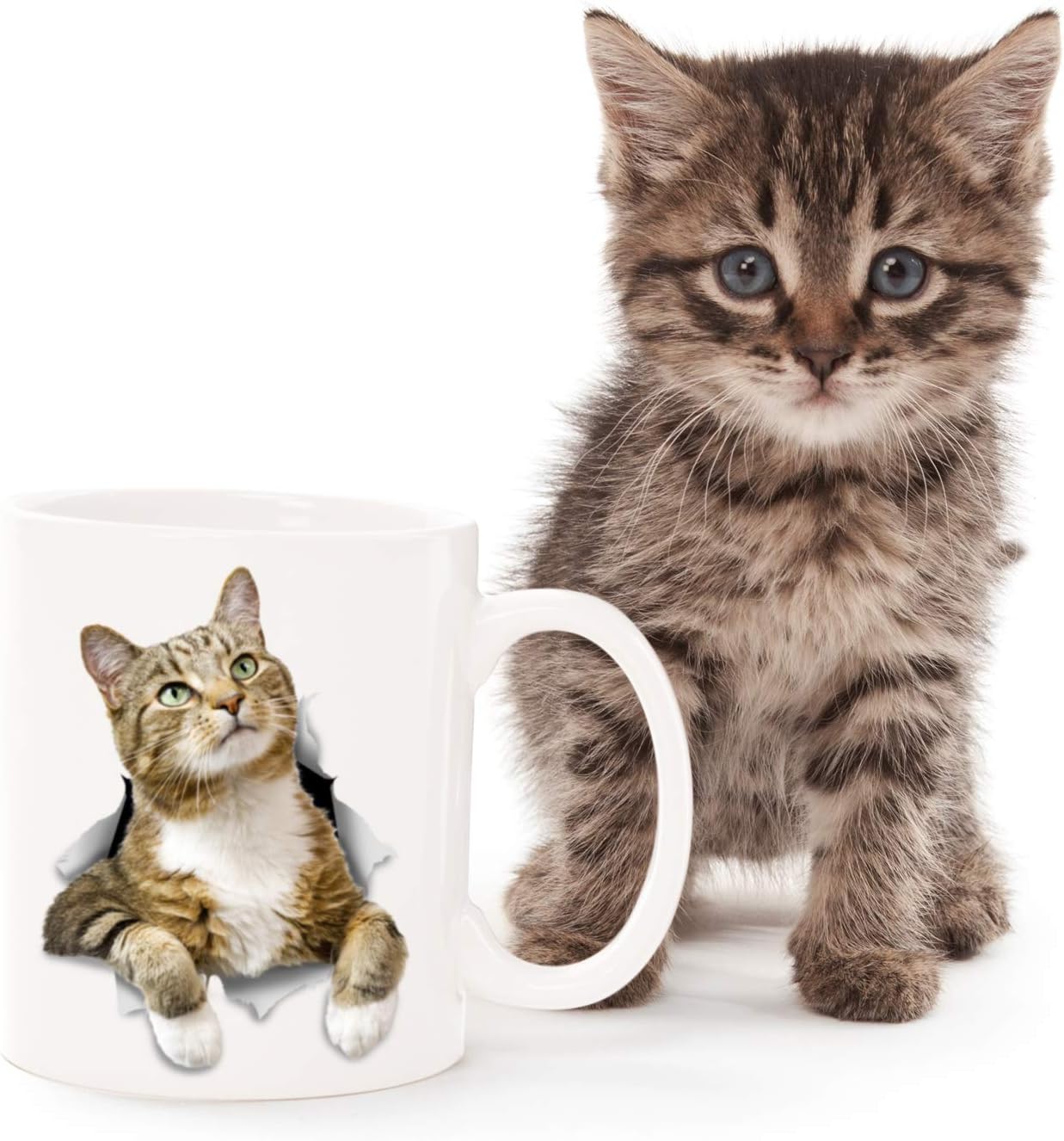 Winston & Bear Pondering Tabby Cat Mug - Ceramic Coffee Mug Gift for Cat Lovers - Perfect Birthday or Christmas, Father's or Mother's Day Gift (11oz)