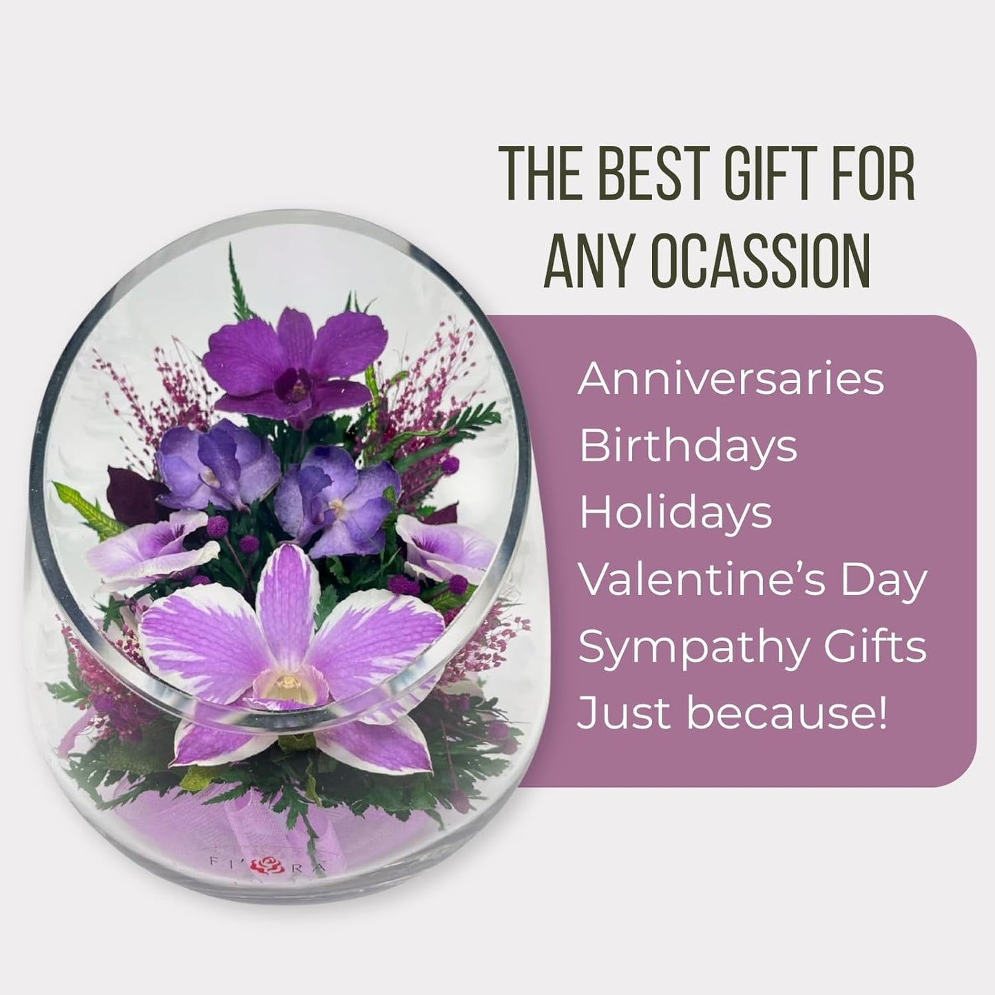 Fiora Flower Elegant Orchid Arrangement in Glass Vase | Preserved Real Orchids Lasting 5 Years | Ideal for Home Decor or Romantic Gift