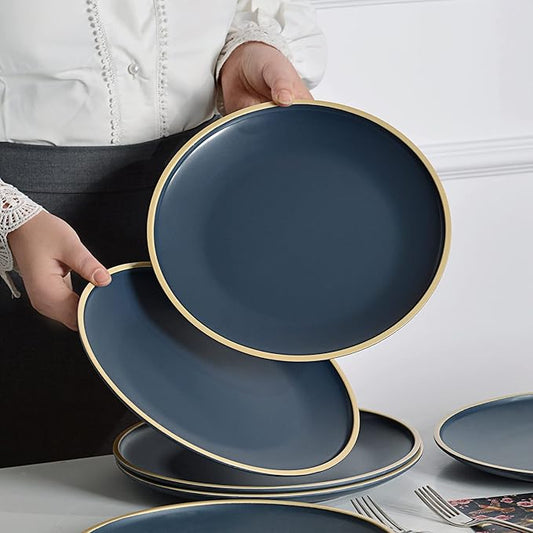 Melamine Dishes Sets of 6, Melamine Plates,10.5 Inch Dinner Plates, Outdoor Dinnerware Sets, Unbreakable, BPA Free, Dishwasher Safe, Blue