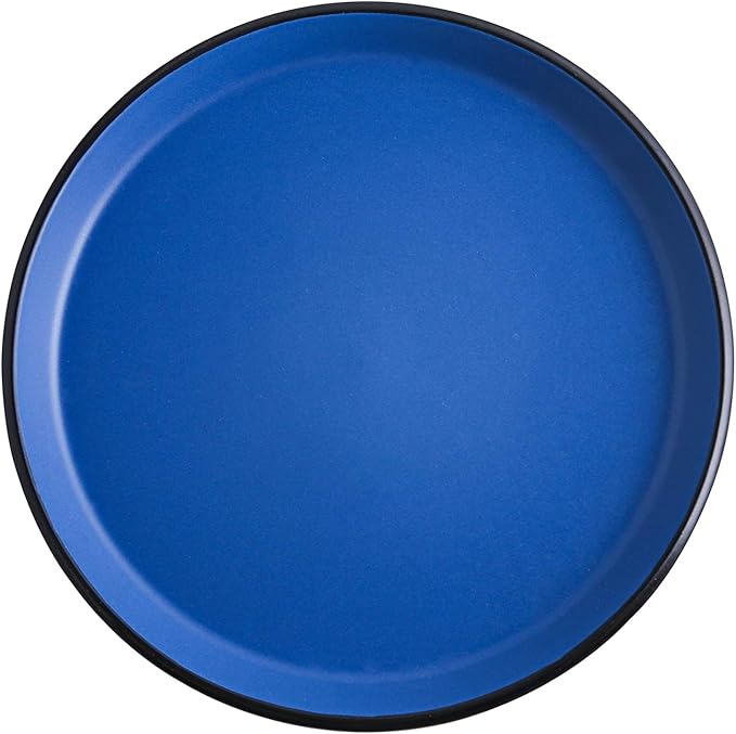 Stone Lain Albie Stoneware 16-Piece Modern Dinnerware Set, Kitchen Plates and Bowls Sets, Dish Set for 4, Blue and Black