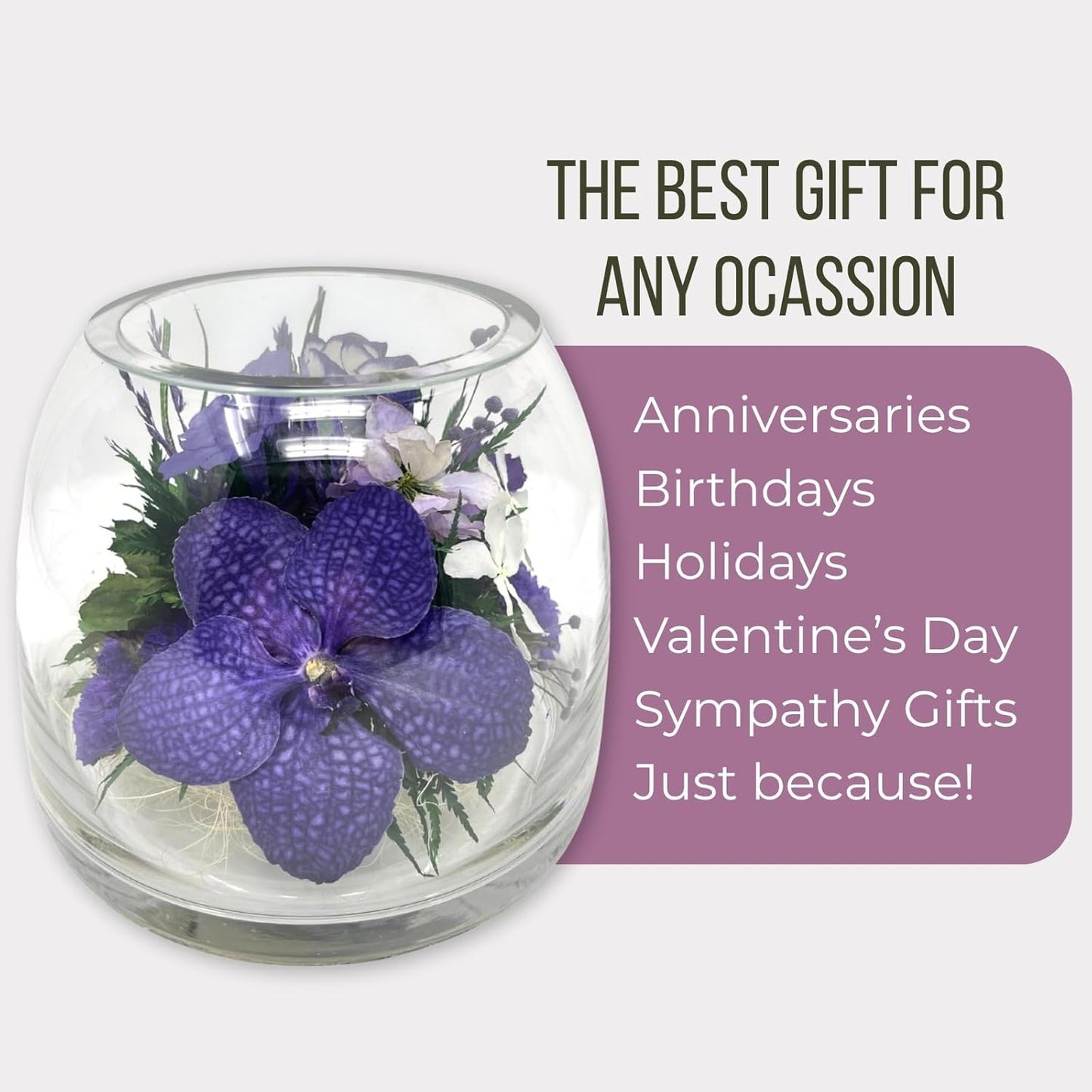 Fiora Flower Elegant Orchid Arrangement in Glass Vase | Preserved Real Orchids Lasting 5 Years | Ideal for Home Decor or Romantic Gift