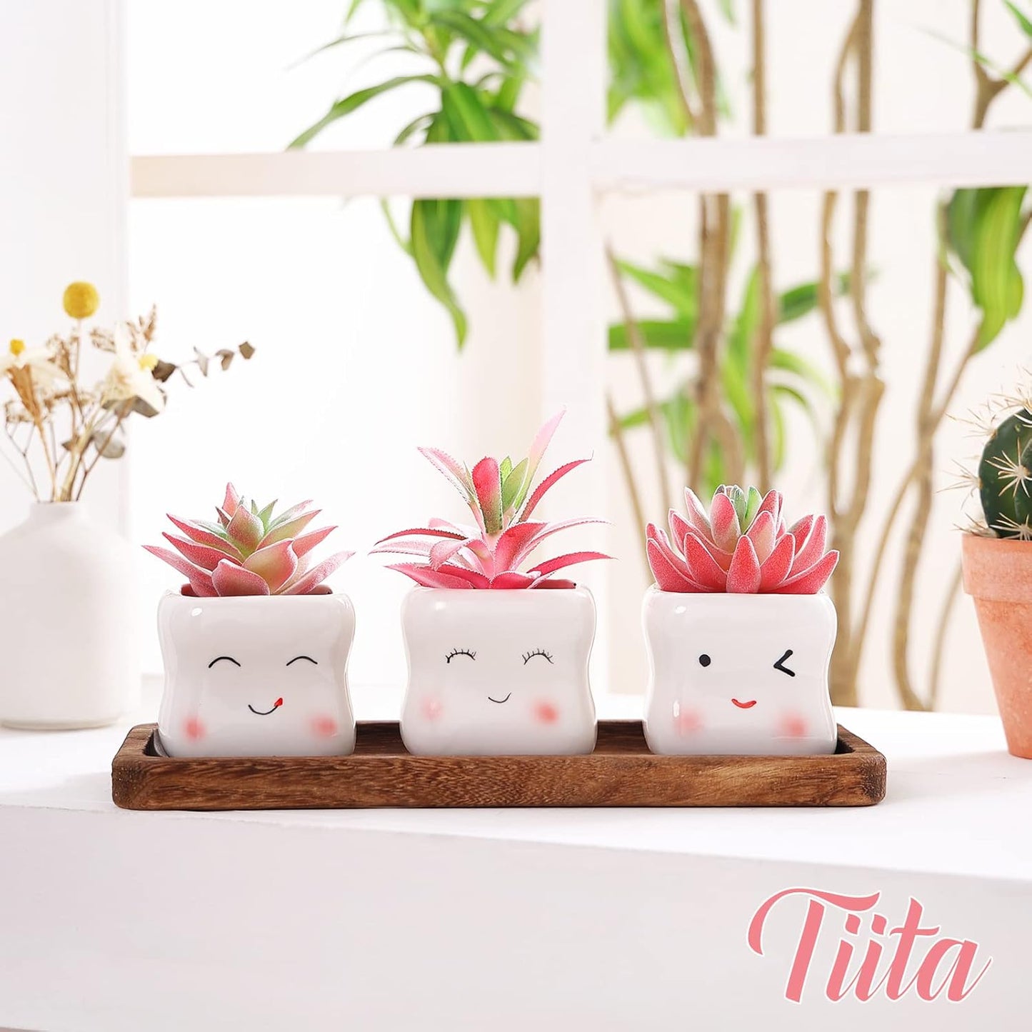 Tiita Cute Artificial Faux Succulents in Pots, Pink Fake Plants Ceramic Arrangement Planter Small Mini Tiny Decoration for Home Office Accessories Women Desk Window Sill Bathroom Bedroom