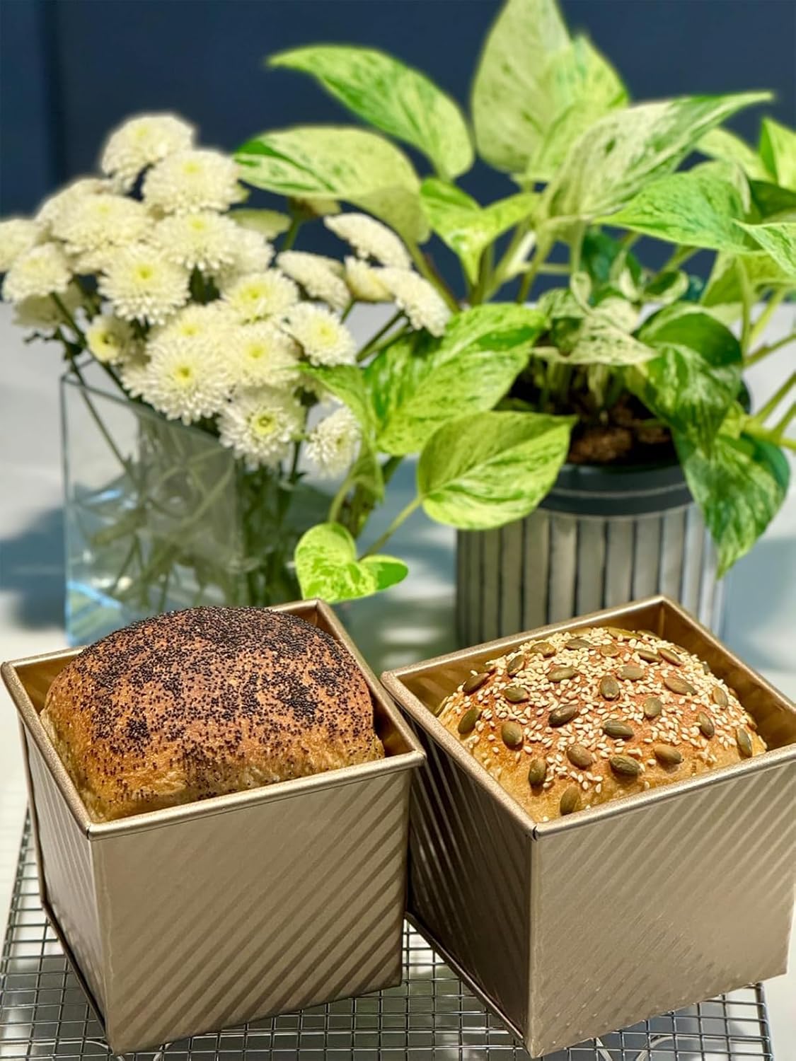 2 mini Pullman bread pans with lids, 0.55Lb non stick rectangular flat toaster box, 3.9x4.7x4.3 inches for oven baking (champagne gold)