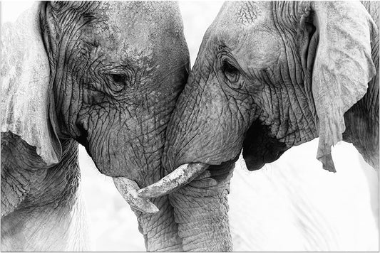 DZL Art D73069 Black and White Elephants Entwine Wall Art Canvas Painting Ready to Hang for Living Room Bedroom Office Wall Decor Home Decoration