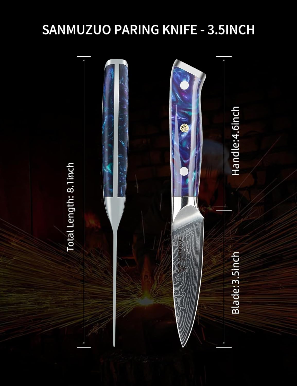 3.5 Inch Paring Knife - Kitchen Fruit Peeling Knife Damascus Steel & Resin Handle - Xuan Series(Sapphire Blue)