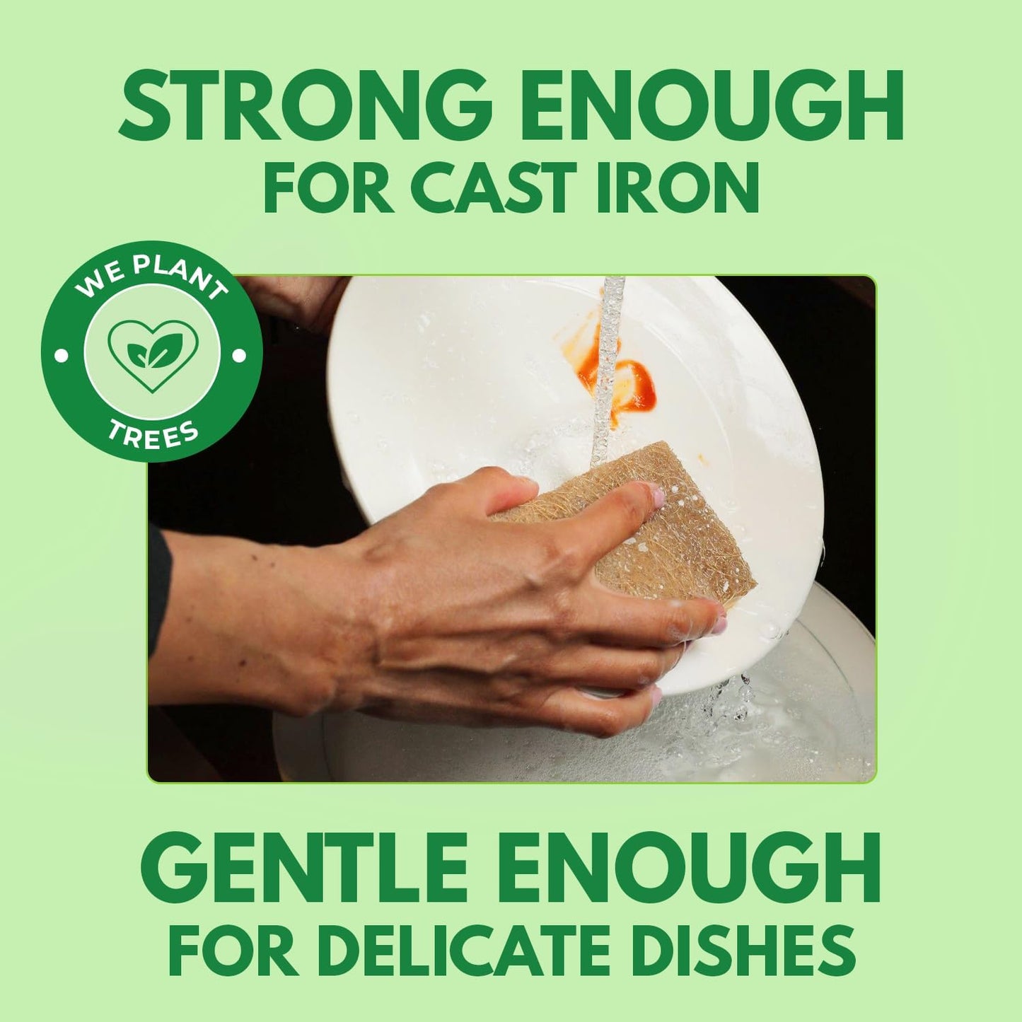 Biodegradable Natural Kitchen Sponges Pack of 6 - Cellulose and Coconut Walnut Scrubber Sponge - Eco Friendly Sponges for Dishes