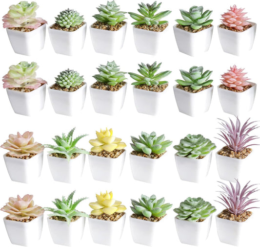 Tiita 24 Set Artificial Faux Succulents in Pots Fake Plants Plastic Arrangement Planter Small Mini Tiny Decoration for Home Office Desk Window Sill Bathroom Bedroom Outdoor Indoor