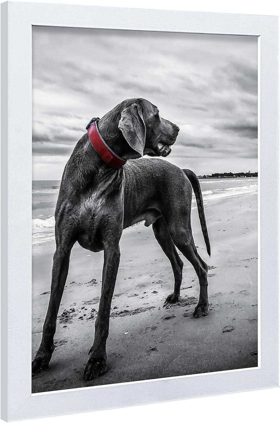 VCK 18x24 Poster Frame White with Polished Plexiglass Set of 5 Picture Frames Horizontal and Vertical Formats with Included Hanging Hardware