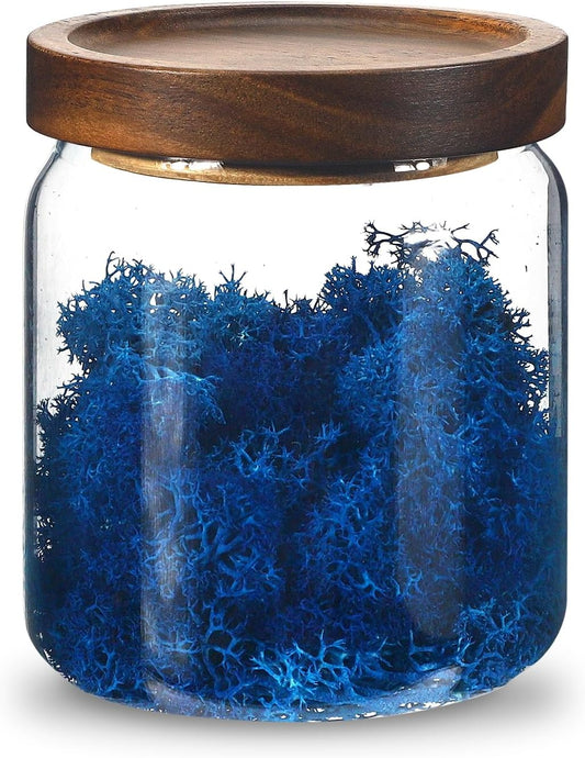 Glass Spice Jars Seasoning Containers Small Glass Jars with Lids Airtight Food Storage Canister for Kitchen Pantry Sugar Tea Coffee Bean Nuts Cookies Herbs Salt (473ml/16oz-1 pcs)