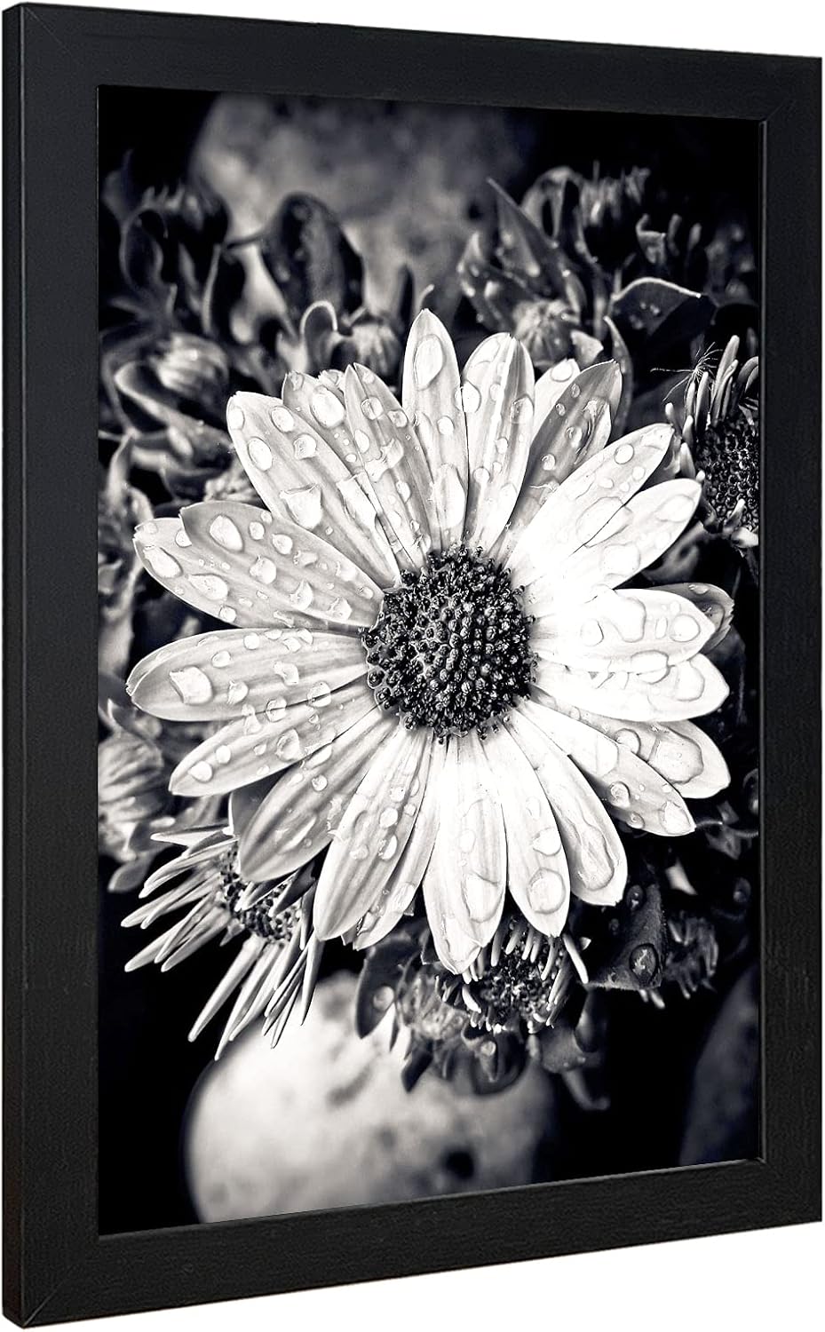 VCK Poster Frames 11x17 Black Set of 5,Solid Wood Picture Frames for Wall Mounting Hanging Art and Puzzles