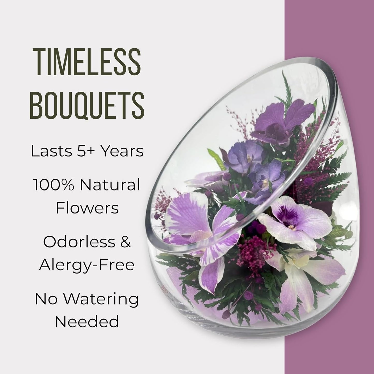 Fiora Flower Elegant Orchid Arrangement in Glass Vase | Preserved Real Orchids Lasting 5 Years | Ideal for Home Decor or Romantic Gift