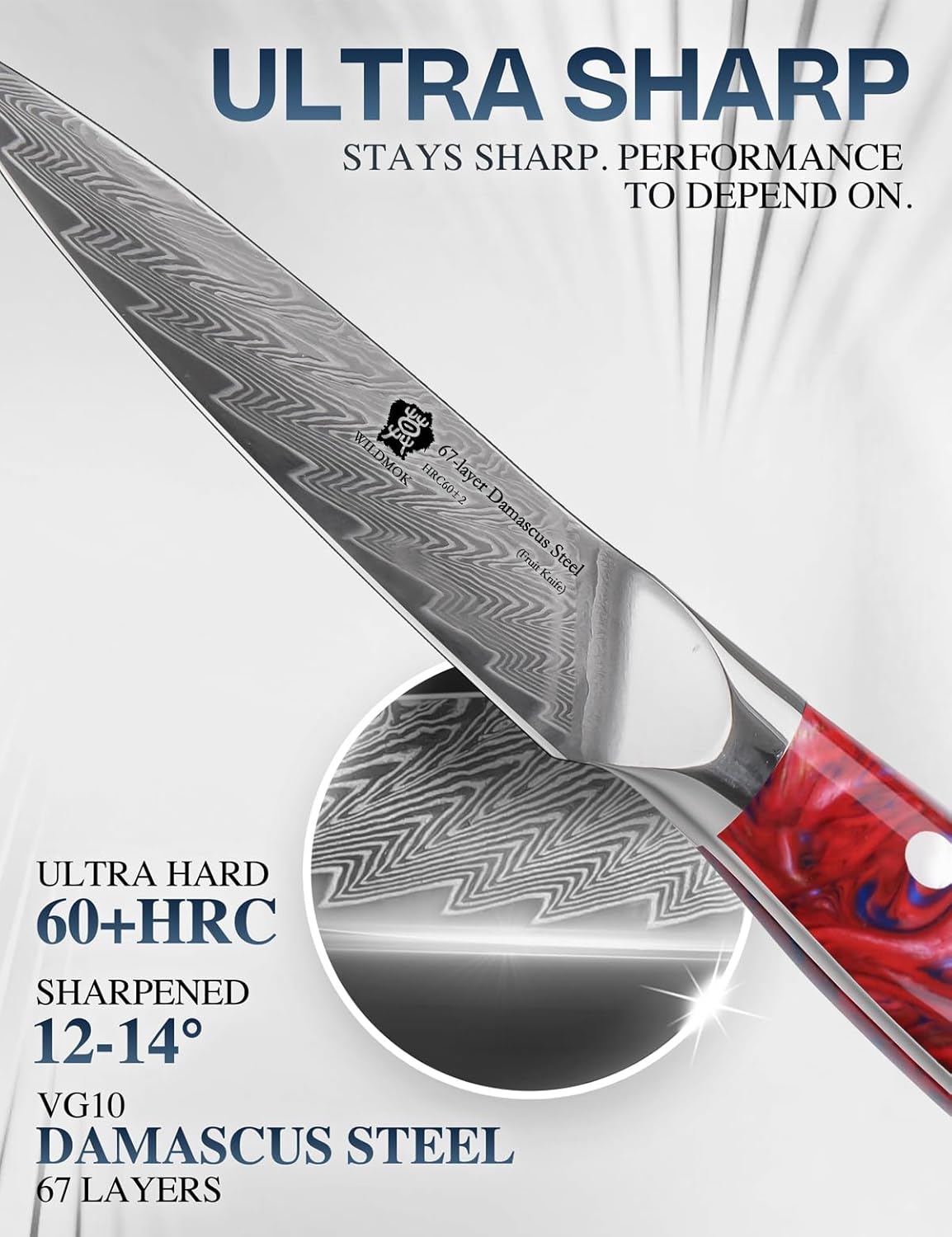 WILDMOK Damascus Paring knife, 3.5 inch sharp fruit Japanese 67 layer Damascus steel knife for carving and peeling knife, Resin handle with gift box