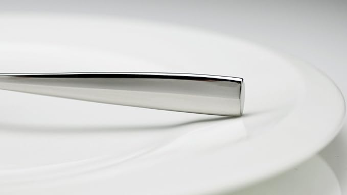 Fortessa Lucca 18/10 Stainless Steel Flatware Serving Spoon, 9.7-Inch