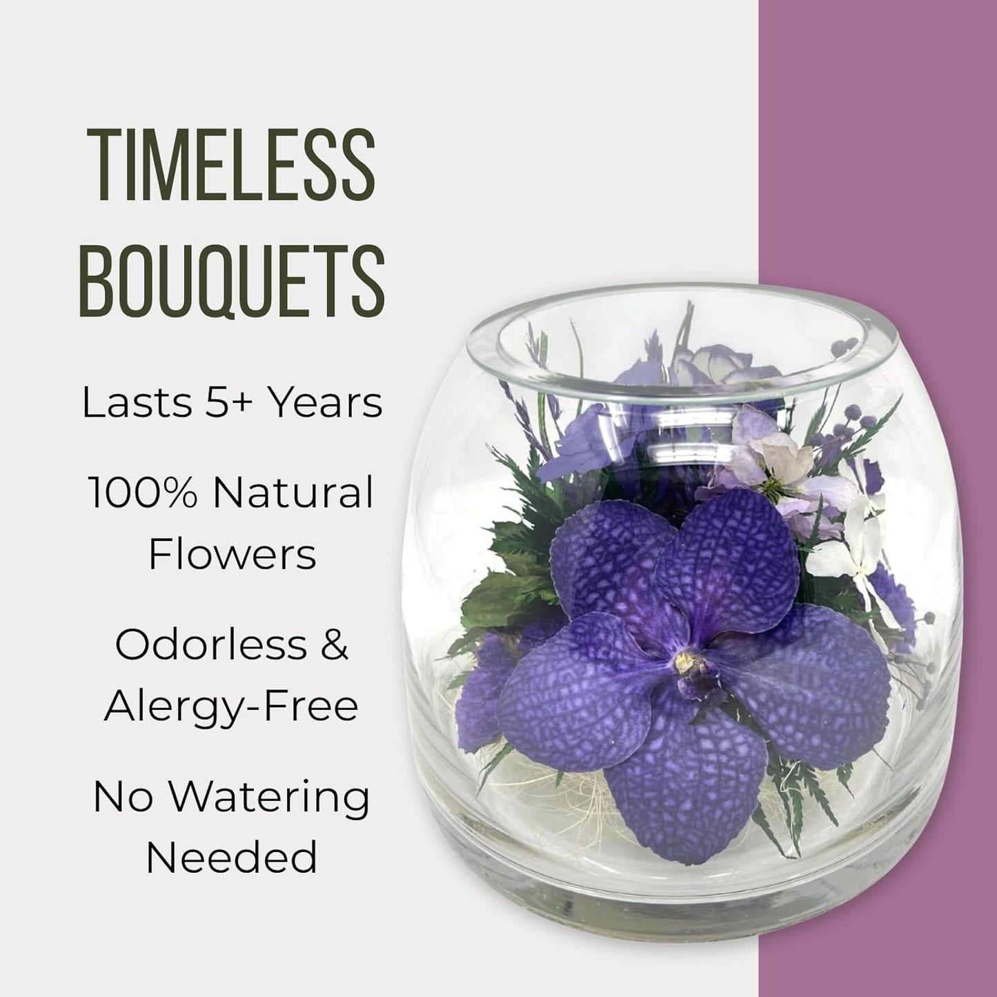 Fiora Flower Elegant Orchid Arrangement in Glass Vase | Preserved Real Orchids Lasting 5 Years | Ideal for Home Decor or Romantic Gift