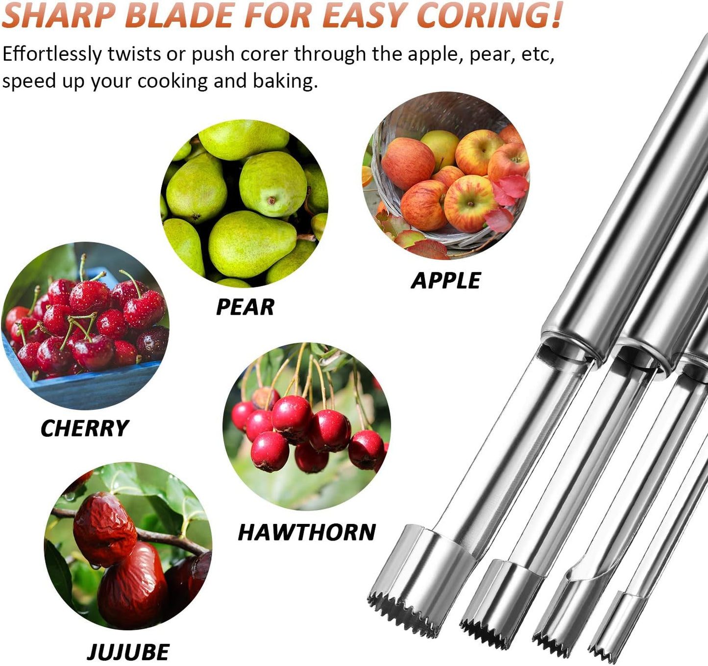 4 Pieces Multi Function Fruit Corer and Pitter Remover Set Stainless Steel Pear Corer Pitter 4 Sizes for Home Kitchen, Pear, Cherry, Jujube and Red Date