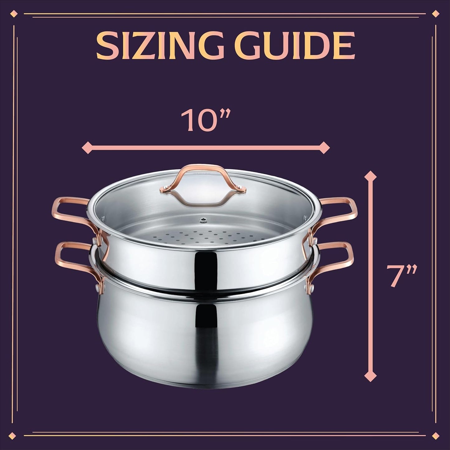 CONCORD Premium Stainless Steel 2 Tier Steamer w/Rose Gold Handles 22 cm