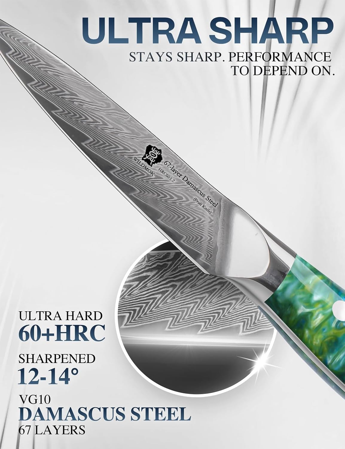 WILDMOK Paring Knife 3.5 Inch, 67 layers Damascus Steel VG 10 Blade Fruit Knife, Small Kitchen Knife, Perfect for Cutting Fruit Vegetables Petty Knife