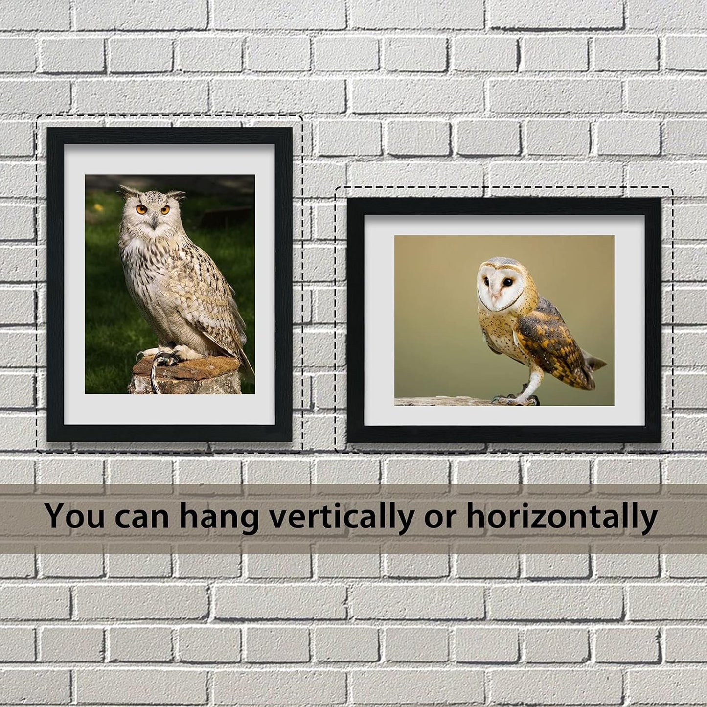 VCK 18x24 Poster Frame in Black with Polished Plexiglass Set of 5 Horizontal and Vertical Formats with Included Hanging Hardware