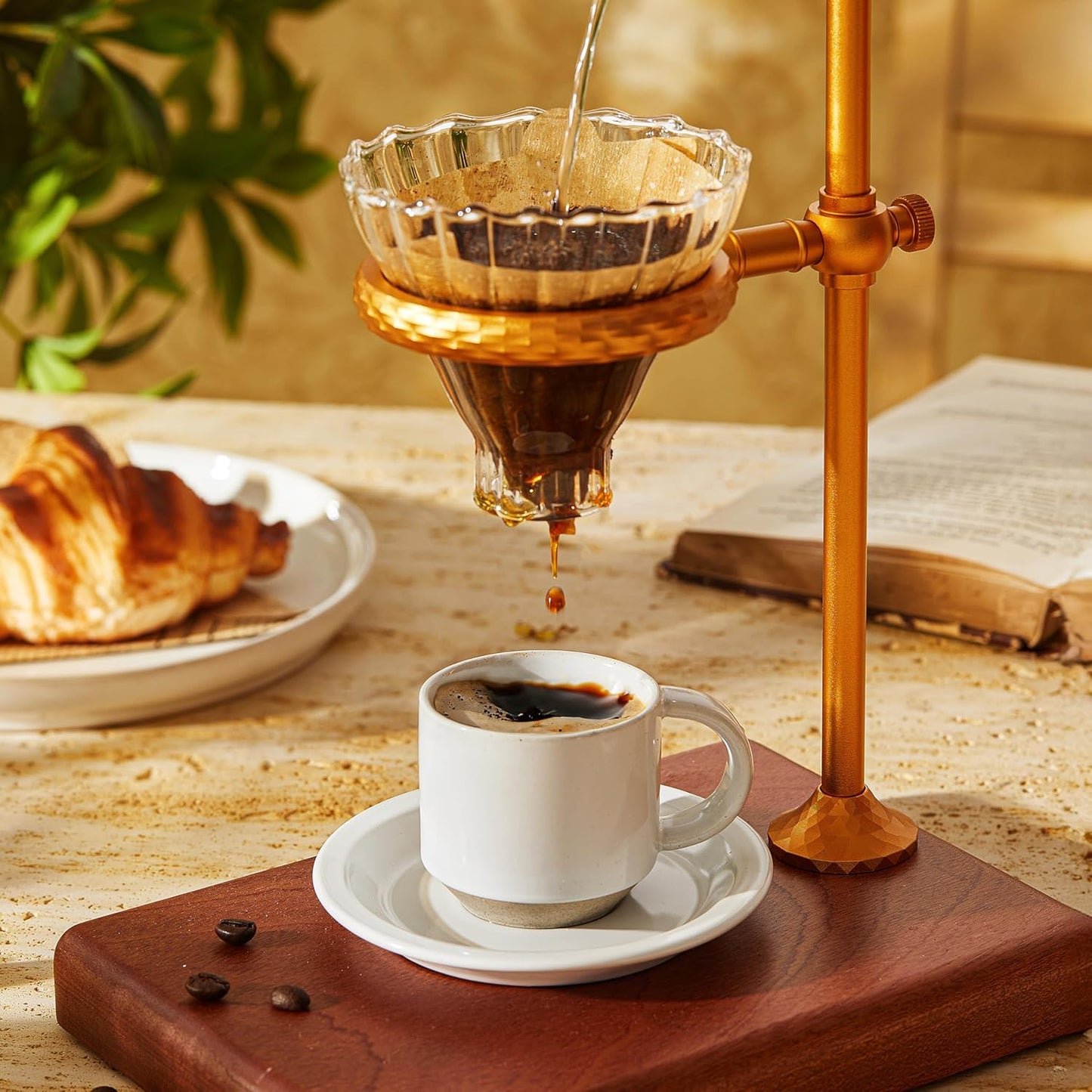 Oak Espresso Cups Set of 4, 3 oz Demitasse Cups, Modern Style, Microwave & Dishwasher Safe (Snow)