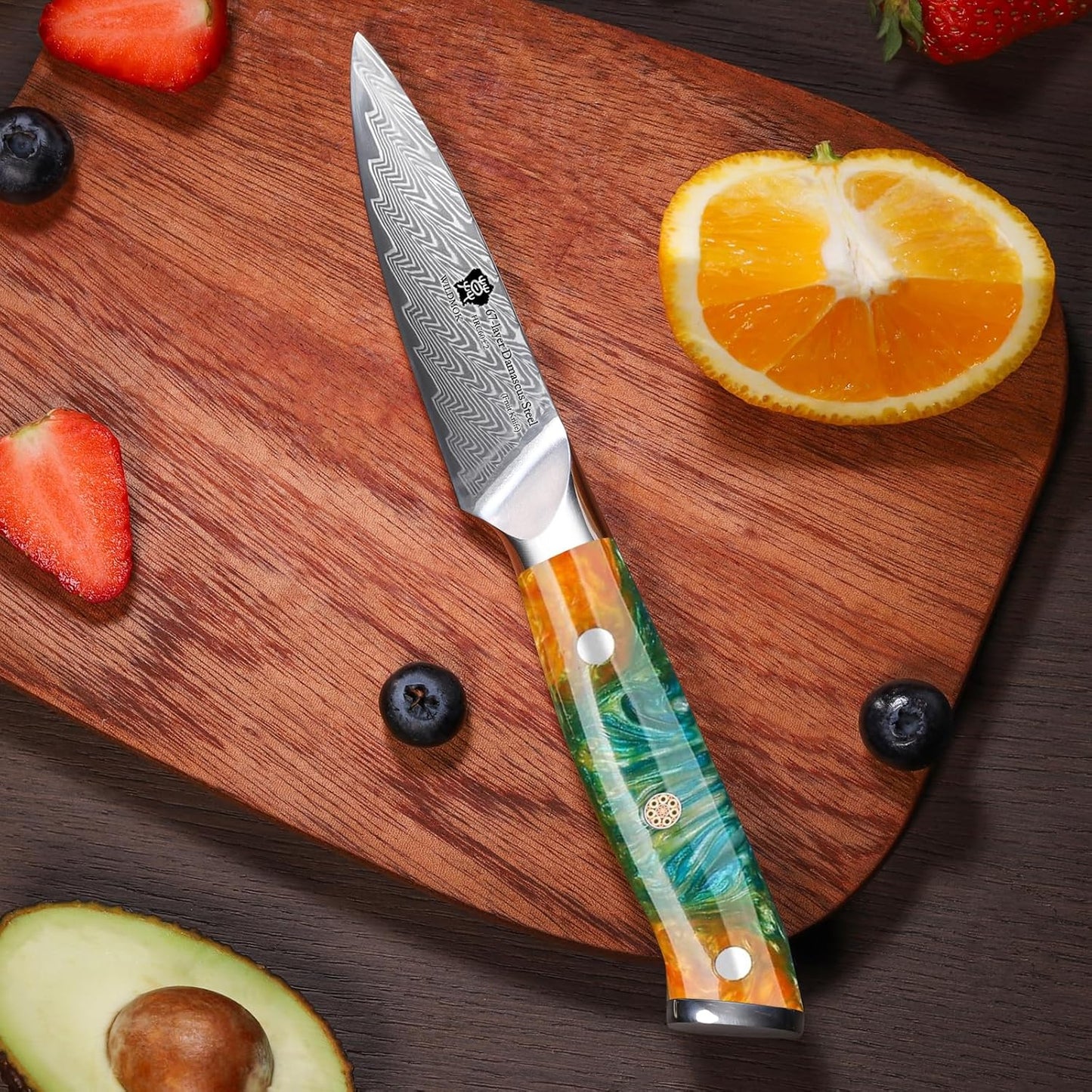 WILDMOK Damascus Paring Knife, 3.5 Inch Japanese 67 Layers Damascus Steel Fruit Knife, Ultra Sharp Resin Handle