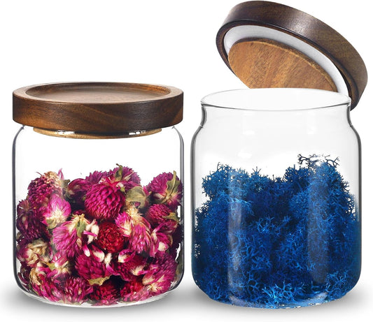 Glass Spice Jars Seasoning Containers Small Glass Jars with Lids Airtight Food Storage Canister for Kitchen Pantry Sugar Tea Coffee Bean Nuts Cookies Herbs Salt (16oz/473ml*2 Pcs)
