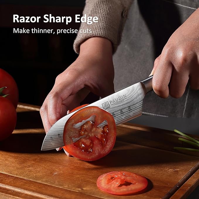 PAUDIN Santoku Knife, Chef Knife 5 inch Ultra Sharp Kitchen Knife, Japanese Chef Knife with Sheath, High Carbon Stainless Steel, Ergonomic Pakkawood Handle