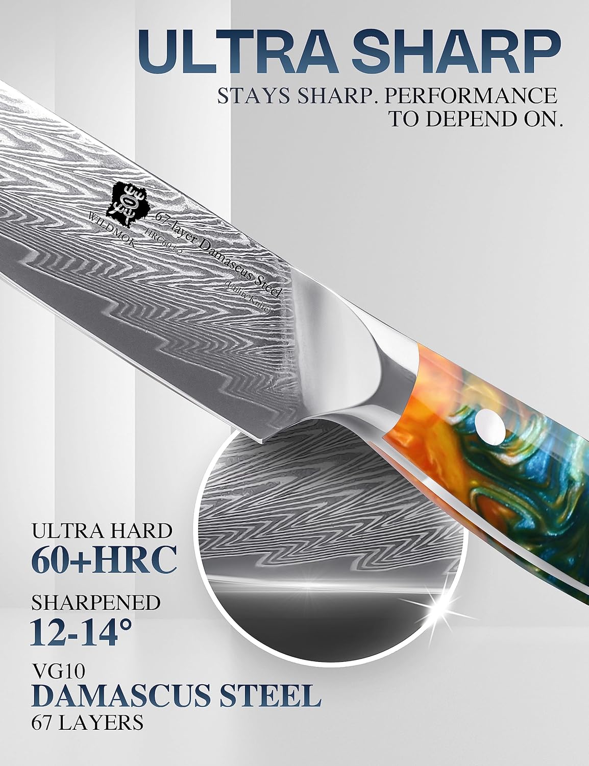 WILDMOK Damascus Paring Knife, 3.5 Inch Japanese 67 Layers Damascus Steel Fruit Knife, Ultra Sharp Resin Handle