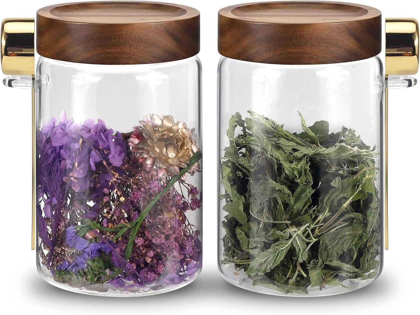 Glass Coffee Jars with Scoop Glass Jar Airtight Lid Seasoning Containers Glass Spice Jar Pantry Storage Containers for Kitchen Sugar Coffee Bean Nuts Cookies Herbs (900ml/30oz-2 pack -with spoon)