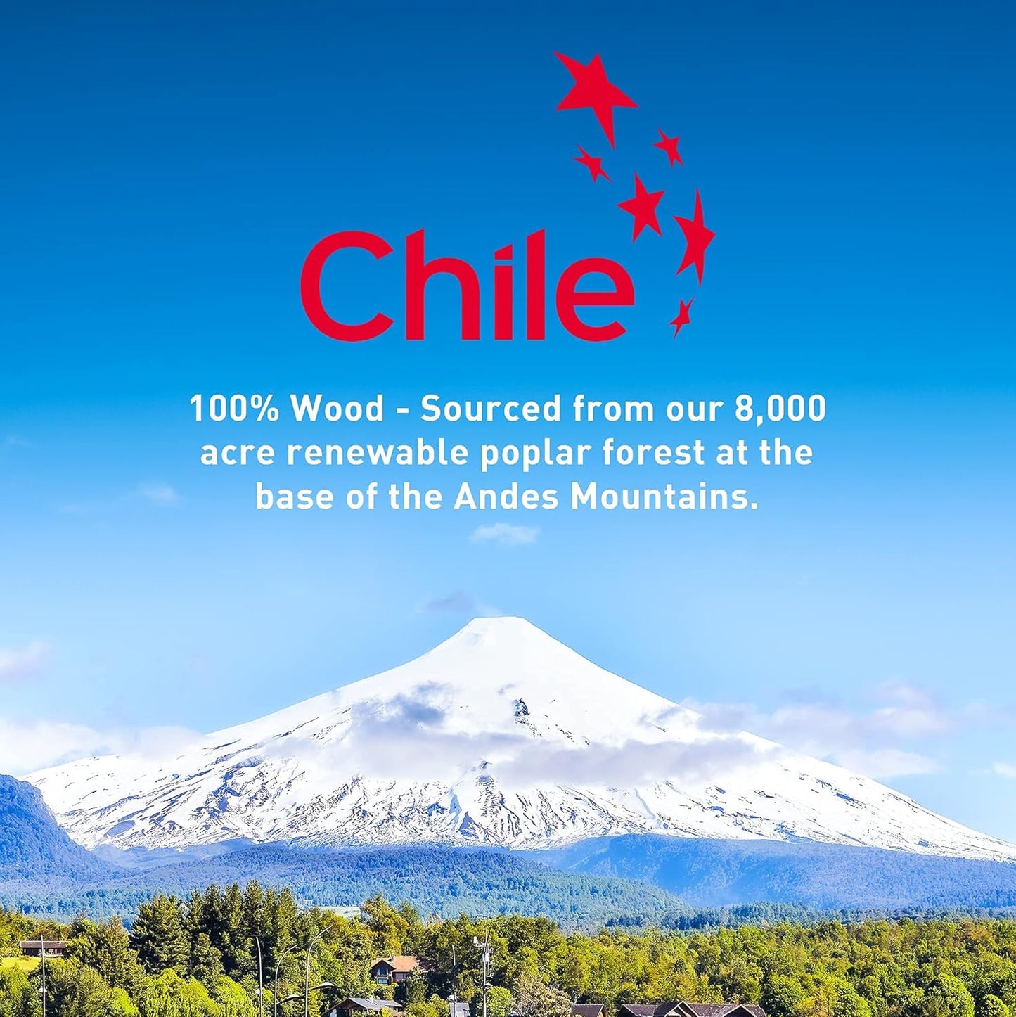 Disposable Wooden Cutlery Set - 100% Home Compostable - 480 Mix (240 Forks, 80 Spoons and 160 Knives) 6.5", Bamboo Utensils Alternative, Eco-Friendly, Organic, Sustainable and Carbon Neutral Certified