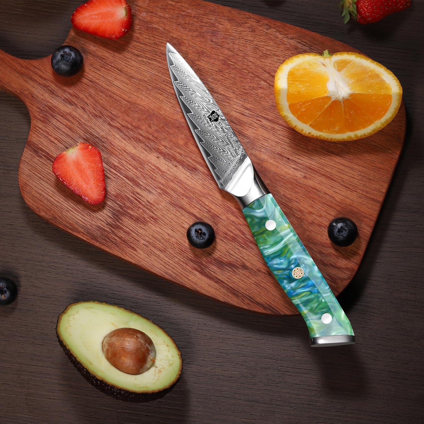 WILDMOK Paring Knife 3.5 Inch, 67 layers Damascus Steel VG 10 Blade Fruit Knife, Small Kitchen Knife, Perfect for Cutting Fruit Vegetables Petty Knife