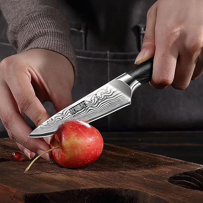 HOSHANHO Paring Knife 3.75 Inch, High Carbon Powder Steel Forged Small Kitchen Knives, Razor Sharp Japanese Fruit Knife with Ergonomic Pakkawood Handle