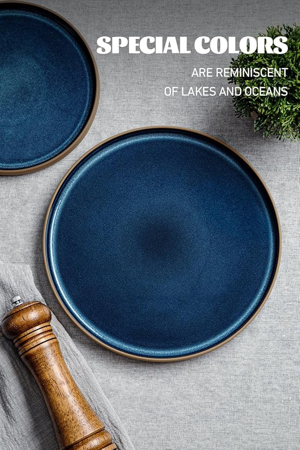 Famiware Nature Plates and Bowls Sets, 12 Pieces Stoneware Dinnerware Sets, Dishes Set for 4, Dishware Sets, Microwave and Dishwasher Safe, Midnight Blue