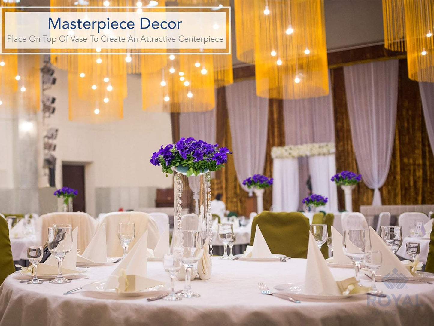 Royal Imports 6" Clear Plastic Saucer Plant Drip Tray, Low Pie Plate, Floral Flower Dish, Wedding, Party, Home and Holiday Decor, 24 Pack