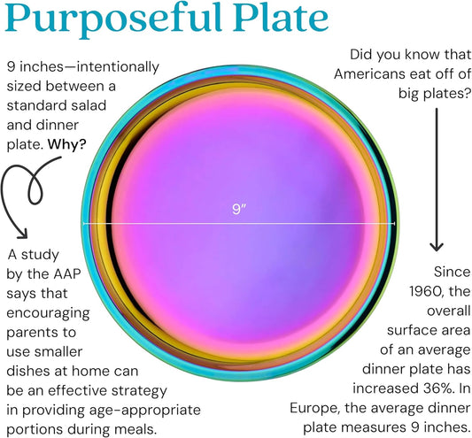 Ahimsa Stainless Steel Kids Plates - 9" Round Rainbow Toddler Plates, Non Toxic Plate, BPA Free & Dishwasher Safe (Single)