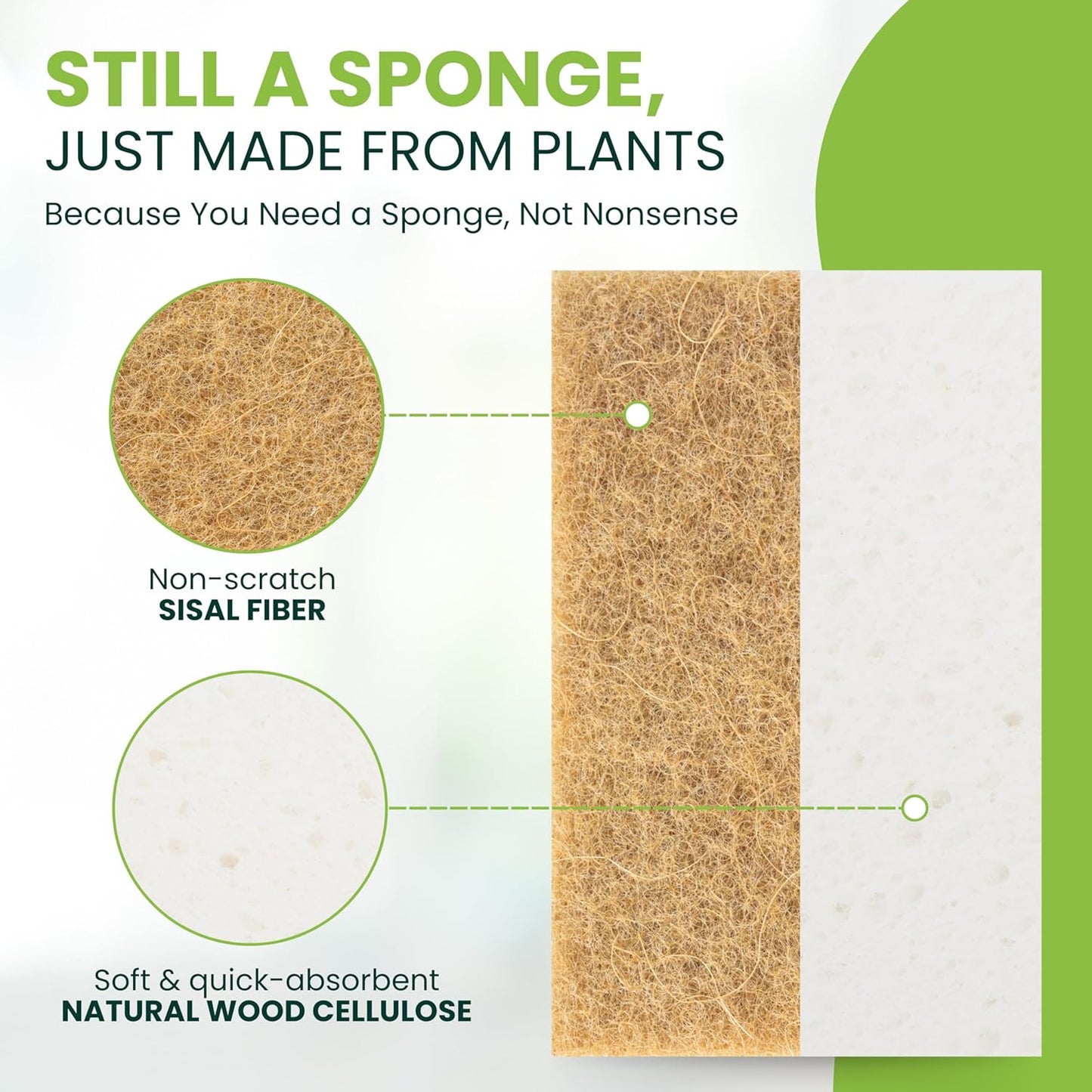 Tieralia Natural Dish Sponge Set – 12-Pack Eco-Friendly & Compostable Scrubbers | Cellulose & Sisal | Non-Toxic, Odor-Free, Reusable Kitchen Sponges for Dishes, Sink, Pots & Pans