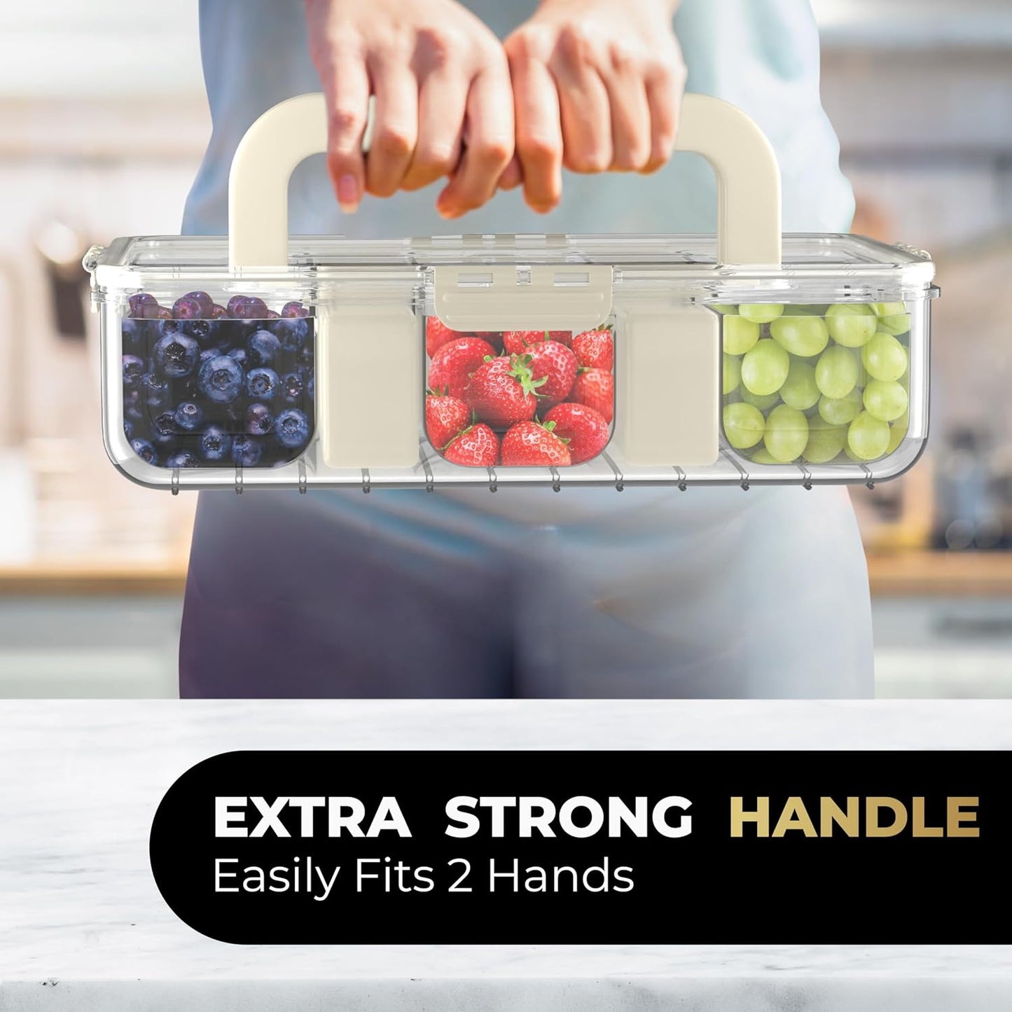 LEVANI Snack Box Container – (8) Clear & Stain Free Compartments, Extra Strong Handle - (2) Ice Packs to Preserve Freshness, Divided Serving Tray w/Lid, Transparent Storage Organizer, Snackle Boxes